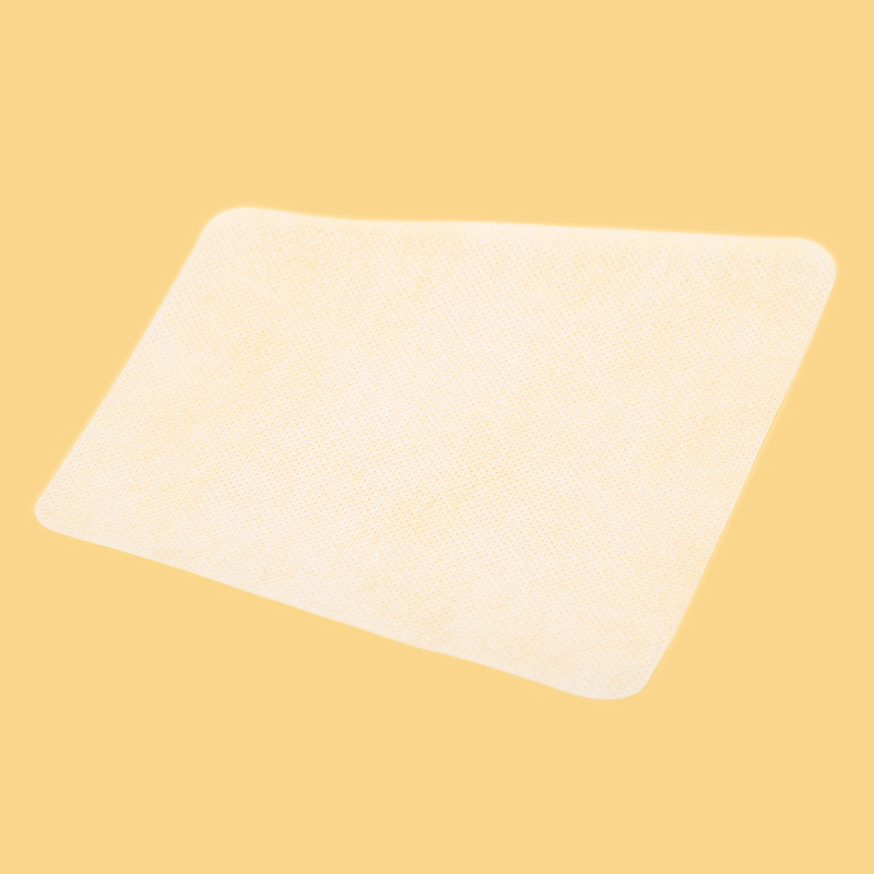 GT600 Replacement Dust Filter